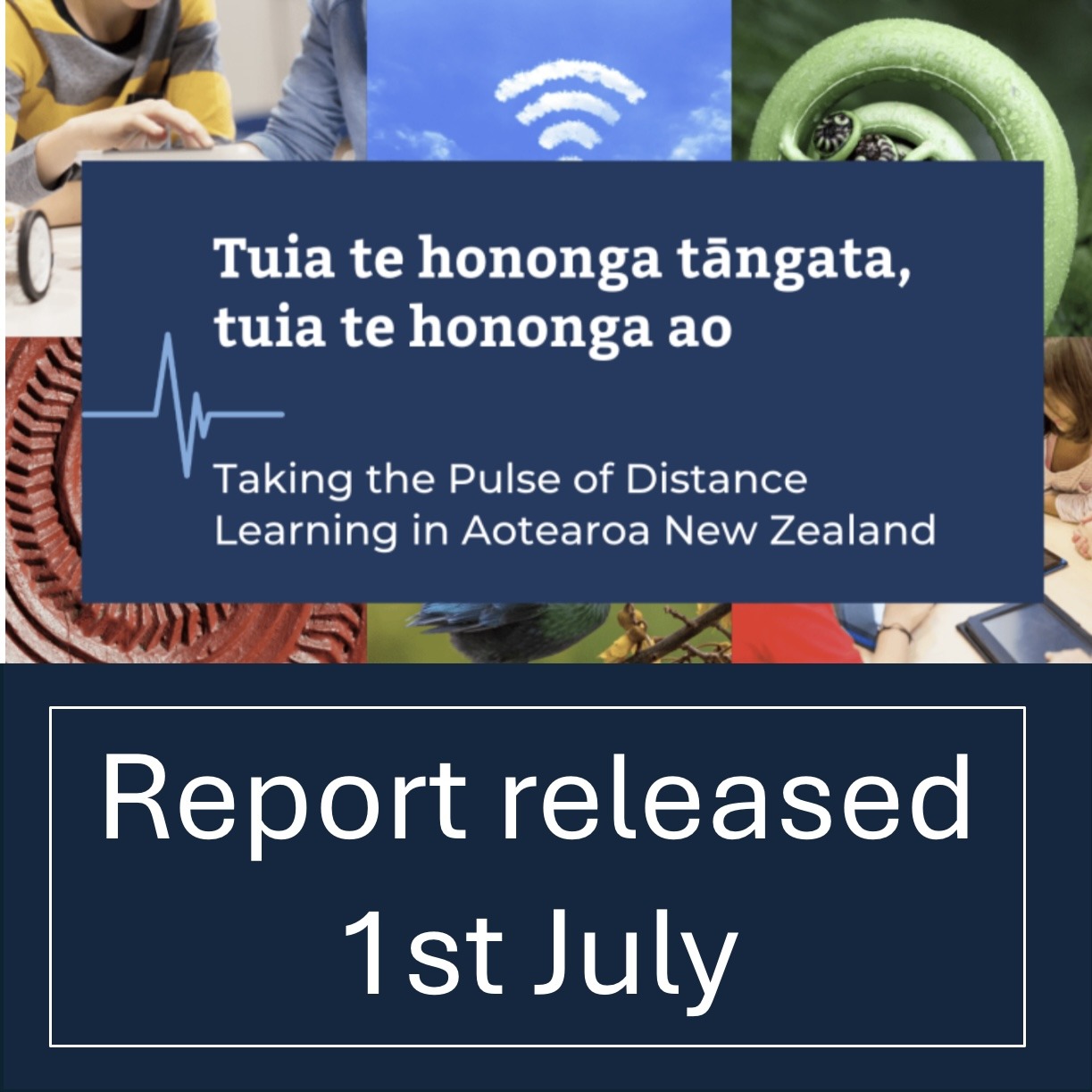 Report into School Sector Distance Learning